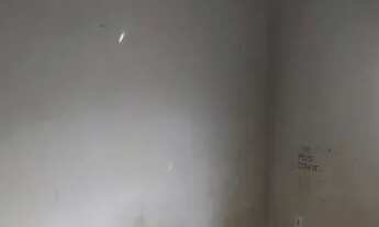 Imagem 5: Lote veiga jardim