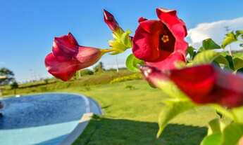 Imagem 6: Lote/Terreno para venda possui 489 metros quadrados em Acupe - Santo Amaro - BA