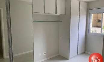 Imagem 6: São Paulo - Apartamento Padrão - Cambuci