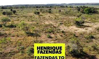 Imagem 2: Fazenda sentido aparecida ao lado de soja sendo 20 alqueires Tocantins
