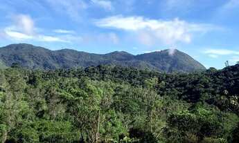 Imagem 2: Terreno com baixadão na Barreira, a 20 minutos de Visconde de Mauá, com escritura e regist