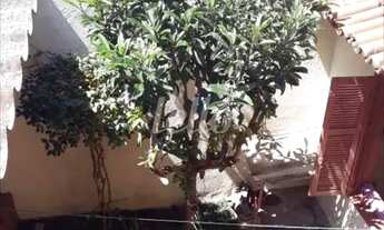 Imagem 7: São Paulo - Casa Comercial - Ipiranga