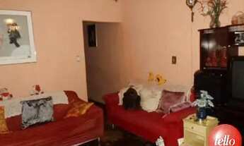 Imagem 6: São Paulo - Casa Padrão - Tatuapé