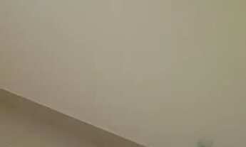 Imagem 4: Apartamento 3 dormitorios iraja