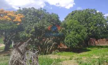 Imagem 5: Chácara Jardim Buru (COLINAS DE INDAIA) 1000m²