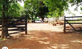 Imagem 3: Sítio de 4,80 hectares com 2 casas, barracão, pasto, área de plantio, 1,6 km do rio Tib