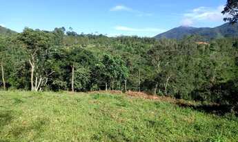 Imagem 7: Terreno com baixadão na Barreira, a 20 minutos de Visconde de Mauá, com escritura e regist