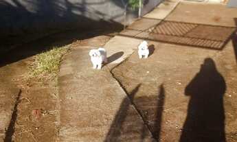 Imagem: Casa para alugar pousada do vale