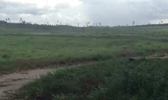 Imagem: Terra com 22 alqueiros