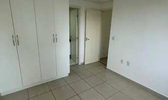 Imagem 7: Verano capim macio