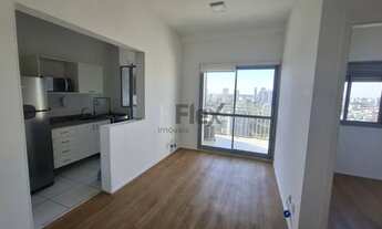 Imagem 3: Apartamento, Vila Mascote - São Paulo