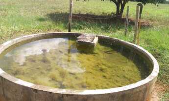 Imagem 5: 030. Chácara em Terenos