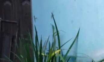 Imagem: Casa castanhal