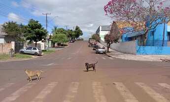 Imagem 5: São Paulo Lote/Terreno 526 metros na cidade de Mauá da Serra no Paraná a 800 mts centro