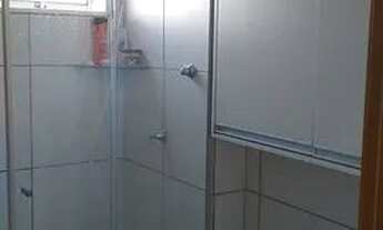 Imagem 3: Kit Samambaia Sul