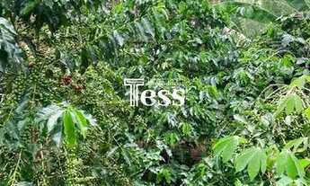 Imagem 7: VENDA - COMPRA Localização Rural / Chácara em São José do Rio Preto com 2 dormitórios próx