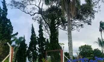 Imagem 5: Vendo meu terreno 100% plano