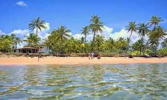 Imagem 3: Terreno 600m2 a 250m da Praia - Taipú de Fora - Maraú - Bahia - Consulte valores parcelado