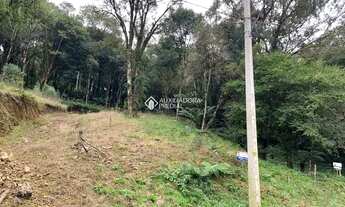 Imagem 2: CANELA - Terreno Padrão - Santa Teresinha