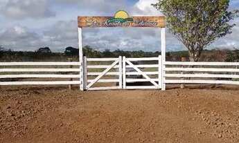 Imagem 7: Vendo sítio no água boa da vila São Silvestre