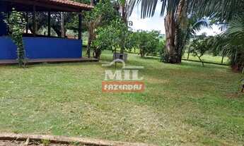 Imagem 4: Chácara 9,5 alqueires (46 hectatres) Trindade - Go