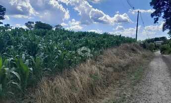 Imagem 2: Terreno em Tuiuty