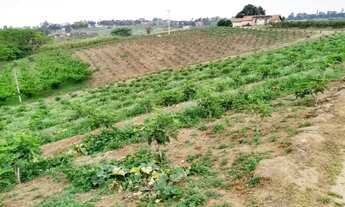 Imagem 2: SÍTIO - MACUCO - SP