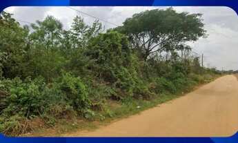Imagem: FAZENDA - ENGENHO TAMATIÃO com Área de