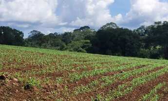 Imagem 2: Fazenda a venda, em Uruana - Goiás