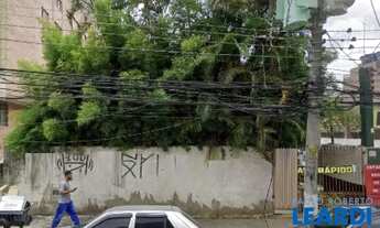 Imagem 4: COMERCIAL - VILA LEOPOLDINA - SP