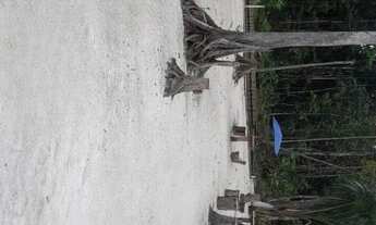 Imagem 13: Sitio Estrada Novo Airão km 44