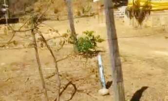 Imagem 2: Venho terreno Terreno / lote com venda por R$80.000