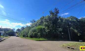 Imagem 2: Terreno para Venda em Nova Petrópolis, Juriti