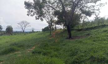 Imagem 2: Chácara 3.000 metros 1 km asfalto