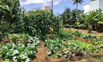 Imagem 6: Terreno para locação anual, Armação do Pântano do Sul, Florianópolis