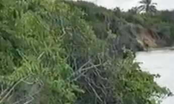 Imagem 4: ATINS/MA: VENDO BEIRA DO RIO