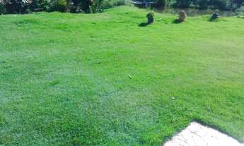 Imagem 6: ? SÍTIO EXCLUSIVO 6 HECTARES - 100M BR 262 | CASA + FIBRA ÓTICA