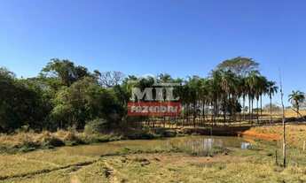 Imagem 2: Chacara 5 Alqueires (24,2 hectares) Piracanjuba - GO