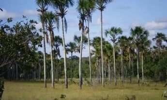 Imagem: A M Imoveis vende exelente Fazenda em Minas