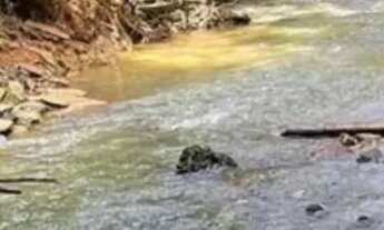 Imagem 7: 18 min do centro, 2000m² + Lago & quiosque só 100 mil