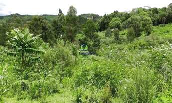 Imagem 2: Chácara com 4.068m² em Mandirituba - PR