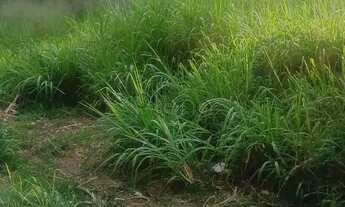 Imagem 6: Terreno à venda em Vinhedo, Vista Alegre, com 743 m²