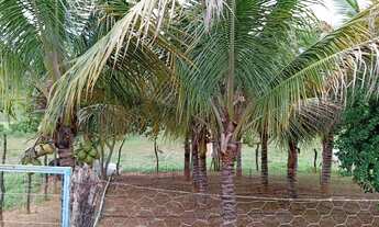 Imagem 4: Sitio 11 Hectares ,Caixa Dagua 50.000 Litros,Irrigação,Poco Proprio,Casa De Lage