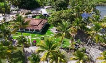 Imagem: Propriedade com 160 tarefas a venda no Povoado