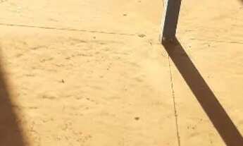 Imagem 7: Galpão com docas