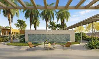 Imagem 2: JOOY BLEND em Campo Grande