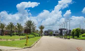 Imagem 6: Veredas | Fundos bosque