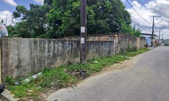 Imagem 3: TERRENO RIO PIORINI