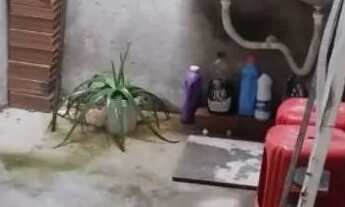 Imagem 7: Casa com 2 quartos no Lamarão