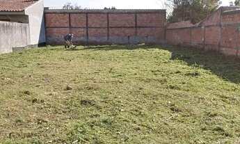 Imagem 6: Lote em Rua Dirceu Sá Ribas - Guatupê - São José dos Pinhais/PR